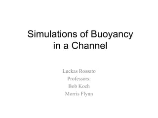 Simulations of Buoyancy
in a Channel
Luckas Rossato
Professors:
Bob Koch
Morris Flynn
 