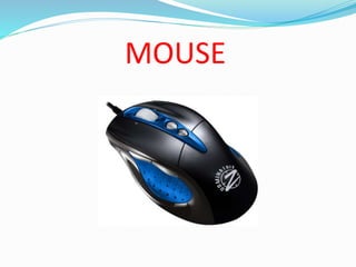 MOUSE
 