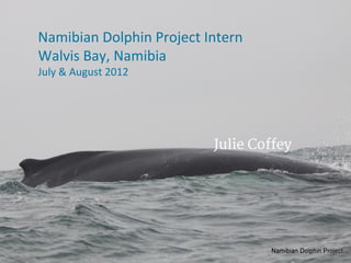 Namibian Dolphin Project Intern
Walvis Bay, Namibia
July & August 2012
Julie Coffey
 
