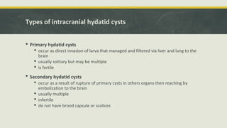 Types of intracranial hydatid cysts
 Primary hydatid cysts
 occur as direct invasion of larva that managed and filtered via liver and lung to the
brain
 usually solitary but may be multiple
 is fertile
 Secondary hydatid cysts
 occur as a result of rupture of primary cysts in others organs then reaching by
embolization to the brain
 usually multiple
 infertile
 do not have brood capsule or scolices
 
