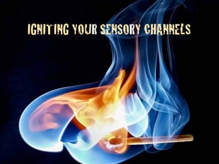 IGNITING YOUR SENSORY CHANNELS
 