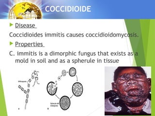 Systemic_MycosesM | PPT