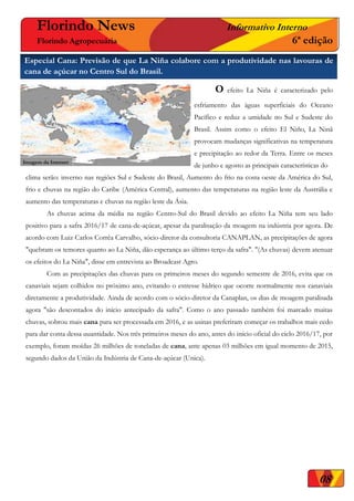 08
Florindo News Informativo Interno
Florindo Agropecuária 6ª edição
Especial Cana: Previsão de que La Niña colabore com a produtividade nas lavouras de
cana de açúcar no Centro Sul do Brasil.
O efeito La Niña é caracterizado pelo
esfriamento das águas superficiais do Oceano
Pacífico e reduz a umidade no Sul e Sudeste do
Brasil. Assim como o efeito El Niño, La Ninã
provocam mudanças significativas na temperatura
e precipitação ao redor da Terra. Entre os meses
de junho e agosto as principais características do
clima serão: inverno nas regiões Sul e Sudeste do Brasil, Aumento do frio na costa oeste da América do Sul,
frio e chuvas na região do Caribe (América Central), aumento das temperaturas na região leste da Austrália e
aumento das temperaturas e chuvas na região leste da Ásia.
As chuvas acima da média na região Centro-Sul do Brasil devido ao efeito La Niña tem seu lado
positivo para a safra 2016/17 de cana-de-açúcar, apesar da paralisação da moagem na indústria por agora. De
acordo com Luiz Carlos Corrêa Carvalho, sócio-diretor da consultoria CANAPLAN, as precipitações de agora
"quebram os temores quanto ao La Niña, dão esperança ao último terço da safra". "(As chuvas) devem atenuar
os efeitos do La Niña", disse em entrevista ao Broadcast Agro.
Com as precipitações das chuvas para os primeiros meses do segundo semestre de 2016, evita que os
canaviais sejam colhidos no próximo ano, evitando o estresse hídrico que ocorre normalmente nos canaviais
diretamente a produtividade. Ainda de acordo com o sócio-diretor da Canaplan, os dias de moagem paralisada
agora "são descontados do início antecipado da safra". Como o ano passado também foi marcado muitas
chuvas, sobrou mais cana para ser processada em 2016, e as usinas preferiram começar os trabalhos mais cedo
para dar conta dessa quantidade. Nos três primeiros meses do ano, antes do início oficial do ciclo 2016/17, por
exemplo, foram moídas 26 milhões de toneladas de cana, ante apenas 03 milhões em igual momento de 2015,
segundo dados da União da Indústria de Cana-de-açúcar (Unica).
Lambari d´Oeste-MT – Usina Coperb –Foto: acervo Manoel Ibrain
Imagem da Internet
 