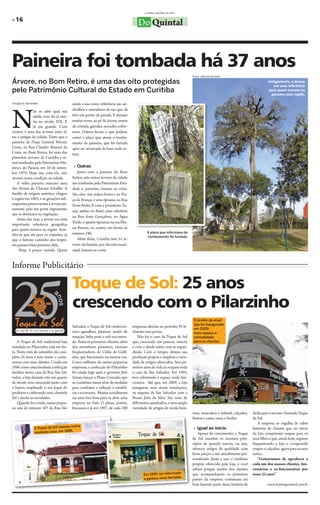 Curitiba, setembro de 2011

» 16
                                                                                    Do Quintal



Paineira foi tombada há 37 anos
                                                                                                                        Fotos: João de Noronha

Árvore, no Bom Retiro, é uma das oito protegidas                                                                                                                          Antigamente, a árvore
                                                                                                                                                                             era uma referência
pelo Patrimônio Cultural do Estado em Curitiba                                                                                                                            para quem morava ou
                                                                                                                                                                           passava pela região.

Douglas S. Fernandes                     ainda a usa como referência são an-




N
               ão se sabe qual sua       darilhos e moradores de rua que ali
               idade, mas ela já exis-   têm um ponto de parada. E deixam
               tia no século XIX. E      muitas vezes, ao pé da árvore, restos
               já era grande. Com        de comida, garrafas, surrados cober-
certeza é uma das árvores mais al-       tores. Outros levam o que podem,
tas e antigas da cidade. Tanto que a     como a placa que atesta o tomba-
paineira da Praça General Werner         mento da paineira, que foi furtada
Gross, na Rua Cláudio Manoel da          após ser arrancada da base onde es-
Costa, no Bom Retiro, foi uma das        tava.
primeiras árvores de Curitiba a se-
rem tombadas pelo Patrimônio His-
tórico do Paraná, em 10 de setem-         » Outras
bro 1974. Hoje são, com ela, oito           Junto com a paineira do Bom
árvores nessa condição na cidade.        Retiro, sete outras árvores da cidade
    A velha paineira marcava uma         são tombadas pelo Patrimônio Esta-
das divisas da Chácara Schaffer. A       dual, e, portanto, imunes ao corte.
família de origem austríaca chegou       São elas: um anjico-branco na Pra-
à região em 1863, e as gerações sub-     ça da França, e uma tipuana, na Rua
sequentes preservariam a árvore jus-     Dom Pedro II com a presidente Tu-
tamente pelo seu porte imponente,        nay, ambas no Batel; uma ceboleira
que se destacava na vegetação.
                                         na Rua Assis Gonçalves, no Água
    Antes das ruas, a árvore era uma
                                         Verde; e quatro tipuanas na rua Éba-
importante referência geográfica
para quem morava na região. Acre-        no Pereira, no centro, em frente ao
                                         número 240.                                      A placa que informava do
dita-se que até para os viajantes, já                                                     tombamento foi furtada.
que o famoso caminho dos tropei-            Além delas, Curitiba tem 51 ár-
ros passava bem próximo dela.            vores declaradas, por decreto muni-
     Hoje, é pouco notada. Quem          cipal, imunes ao corte.


Informe Publicitário

                                         Toque de Sol: 25 anos
                                         crescendo com o Pilarzinho
                                                                                                                         O prédio da atual
                                                                                                                         loja foi inaugurado
                                         Salvador, a Toque de Sol confeccio-     empresas abertas no período, 95 fe-
                                                                                                                         em 2009:
                                         nava agasalhos, pijamas, maiôs de       chavam suas portas.                     mais espaço e
                                         natação, linha praia e sob encomen-        Não foi o caso da Toque de Sol       comodidade
    A Toque de Sol, tradicional loja     da. Entre os primeiros clientes, além   que, crescendo aos poucos, venceu       para os clientes.
instalada no Pilarzinho, está em fes-    dos moradores próximos, estavam         a crise e desde então vem se expan-
ta. Neste mês de setembro ela com-       freqüentadores do Clube do Golfi-       dindo. Com o tempo, deixou sua
pleta 25 anos e tem muito a come-        nho, que funcionava na mesma rua.       produção própria e ampliou a varie-
morar com seus clientes. Criada em       Como milhares de outras pequenas        dade de artigos oferecidos. Nos pri-
1986 como uma modesta confecção          empresas, a confecção do Pilarzinho     meiros anos de vida já ocupava toda
familiar numa casa da Rua São Sal-       foi criada logo após o governo José     a casa da São Salvador. Em 1995,
vador, a loja durante este um quarto     Sarney lançar o Plano Cruzado, que      teve reformado o espaço onde fun-
de século vem crescendo junto com        se constituía numa série de medidas     cionava. Até que, em 2009, a loja
o bairro, ampliando o seu leque de       para combater a inflação e estabili-    inaugurou suas atuais instalações,
produtos e cultivando uma clientela      zar a economia. Muitos acreditaram      na esquina da São Salvador com a
fiel e atenta às novidades.              ser uma boa hora para se abrir uma      Bruno João da Silva. São mais de
    Quando foi criada, numa peque-       empresa no País. O plano, porém,        400 metros quadrados, e uma ampla
na sala do número 507 da Rua São         fracassou e já em 1987, de cada 100     variedade de artigos de moda femi-
                                                                                                                        nina, masculina e infantil, calçados,   dedicação e sucesso chamada Toque
                                                                                                                        fitness e cama, mesa e banho.           de Sol.
                                                                                                                                                                   A empresa se orgulha de saber
                                       numa
                 A Toque de Sol nasceu                                                                                   » Igual ao início                      histórias de clientes que no início
                 modesta cas a, em 1986.
                                                                                                                           Apesar do crescimento, a Toque       da loja compravam roupas para os
                                                                                                                        de Sol mantém os mesmos prin-           seus filhos e que, ainda hoje, seguem
                                                                                                                        cípios de quando nasceu, ou seja,       frequentando a loja e comprando
                                                                                                                        oferecer artigos de qualidade com       roupas e calçados, agora para os seus
                                                                                                                        bons preços e um atendimento per-       netos...
                                                                                                                        sonalizado. Junte a isso o crediário       “Gostaríamos de agradecer a
                                                                                                                        próprio oferecido pela loja, e você     cada um dos nossos clientes, fun-
                                                                                                                        saberá porque muitos dos clientes       cionários e ex-funcionários por
                                                                                        Em 1995, foi reformada          que acompanharam os primeiros           esses 25 anos”
                                                                                                             a.
                                                                                        e ganhou nova fachad            passos da empresa continuam até
                                                                                                                        hoje fazendo parte dessa história de             www.lojatoquedesol.com.br
 