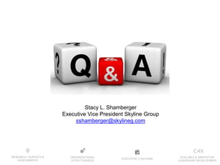 EXECUTIVE COACHING
ORGANIZATIONAL
EFFECTIVENESS
RESEARCH, SURVEYS &
ASSESSMENTS
SCALABLE & INNOVATIVE
LEADERSHIP DEVELOPMENT
Stacy L. Shamberger
Executive Vice President Skyline Group
sshamberger@skylineg.com
 