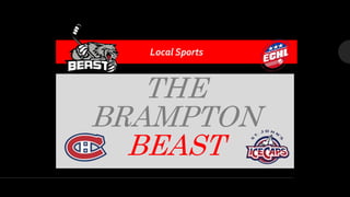 THE
BRAMPTON
BEAST
Local Sports
 