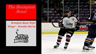 The Brampton
Beast
Brampton Beast Right
Winger - Brandon Marino
 