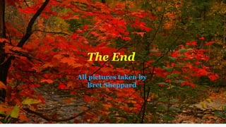 The End
All pictures taken by
Bret Sheppard
 