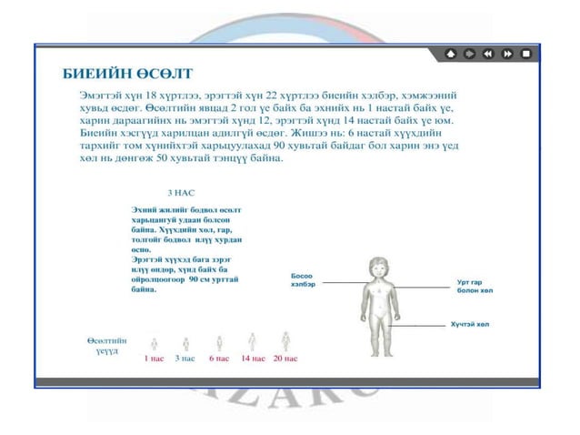 лекц 1 хүний биеийн ерөнхий бүтэц, тулгуур эрхтэн тогтолцоо