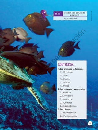 CONTENIDOS:
1. Los animales vertebrados
1.1. Mamíferos
1.2. Aves
1.3. Reptiles
1.4. Anfibios
1.5. Peces
2. Los animales invertebrados
2.1. Anélidos
2.2. Artrópodos
2.3. Moluscos
2.4. Cnidarios
2.5. Equinodermos
3. Las plantas
3.1. Plantas sin flor
3.2. Plantas con flor
Cuaderno de actividades
página 19
Lupa binocular
reto
Prohibidasureproducción
11
http://goo.gl/mZbip8
Prohibida
su
com
ercialización
 