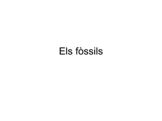 Els fòssils
 