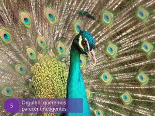 www.agendor.com.br 
Orgulho: queremos parecer inteligentes 
5  