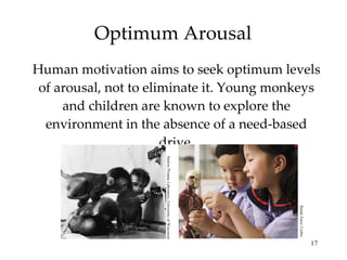 Optimum Arousal Human motivation aims to seek optimum levels of arousal, not to eliminate it. Young monkeys and children are known to explore the environment in the absence of a need-based drive. Harlow Primate Laboratory, University of Wisconsin Randy Faris/ Corbis 