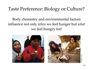 Taste Preference: Biology or Culture? Body chemistry and environmental factors influence not only  when  we feel hunger but  what  we feel hungry for! Richard Olsenius/ Black Star Victor Englebert 