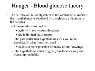 Hunger - Blood glucose theory The activity of the satiety center in the ventromedial nuclei of the hypothalamus is regulated by the glucose utilization in the neurons Glucose utilization is low activity in the neurons decreases the individual feels hungry The paraventricular hypothalamus tells you more specifically what foods you need Seems to be responsible for many of our "cravings"  The hypothalamus then triggers your food seeking and consumption habits 