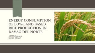 ENERGY CONSUMPTION
OF LOW-LAND BASED
RICE PRODUCTION IN
DAVAO DEL NORTE
JOSSEL BALALA
SHEILA COGAY
 
