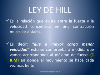 LEY DE HILL 
Es la relación que existe entre la fuerza y la 
velocidad concéntrica en una contracción 
muscular aislada. 
Es decir: “que a mayor carga menor 
velocidad” esto se comprueba a medida que 
vamos acercándonos al máximo de fuerza (1 
R.M) en donde el movimiento se hace cada 
vez mas lento. 
javiermazzone@yahoo.com.ar 
 