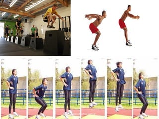 javiermazzone@yahoo.com.ar 
 