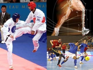 javiermazzone@yahoo.com.ar 
 