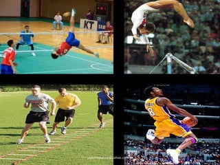 javiermazzone@yahoo.com.ar 
 