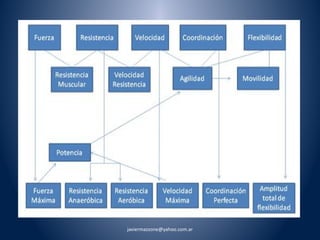 javiermazzone@yahoo.com.ar 
 