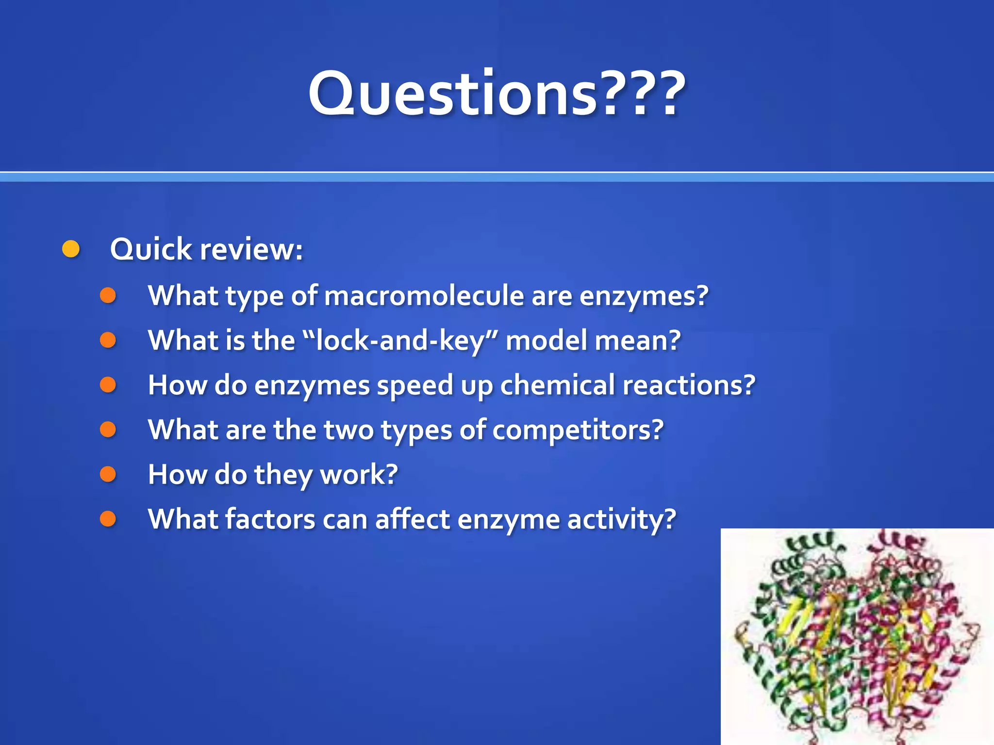Questions???Quick review:What type of macromolecule are enzymes?What is the “lock-and-key” model mean?How do enzymes speed up chemical reactions?What are the two types of competitors?How do they work?What factors can affect enzyme activity?