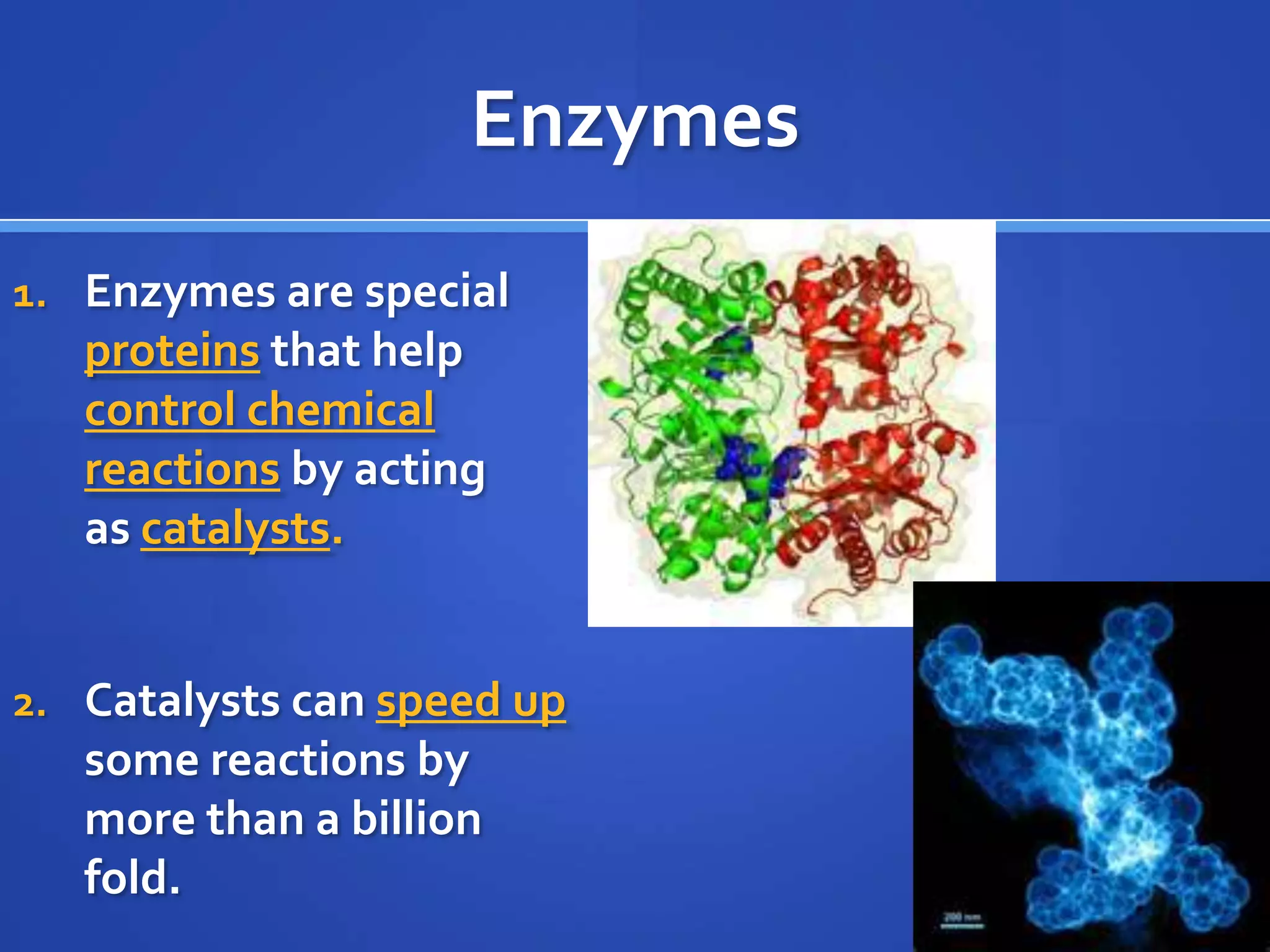 EnzymesEnzymes are special proteinsthat help control chemical reactionsby acting as catalysts.Catalysts can speed up some reactions by more than a billion fold.