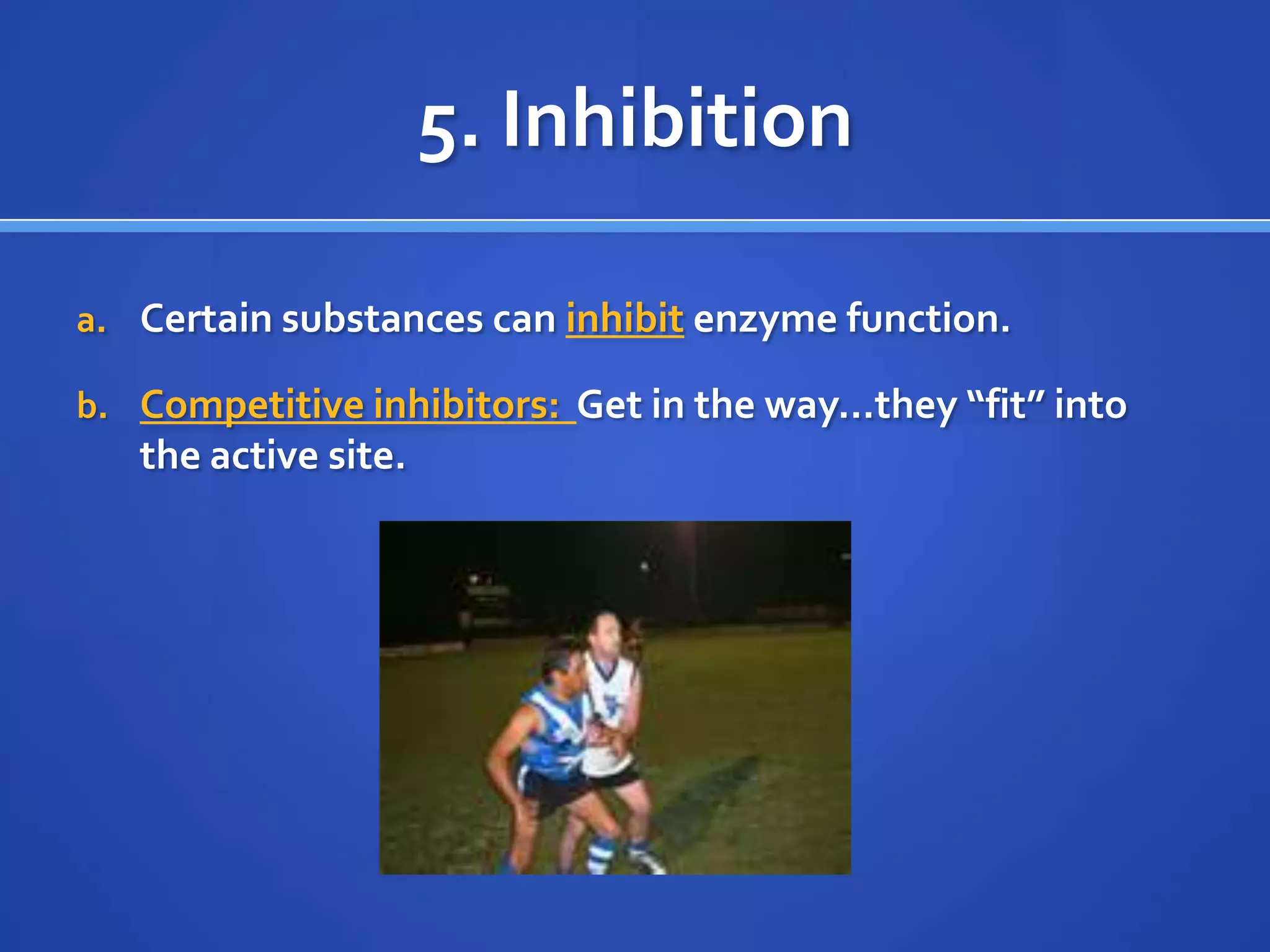 5. InhibitionCertain substances can inhibit enzyme function.Competitive inhibitors: Get in the way…they “fit” into the active site.