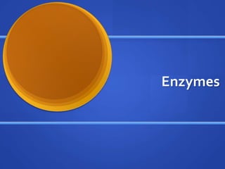Enzymes 