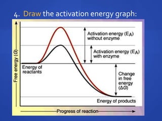 4.  Draw the activation energy graph: