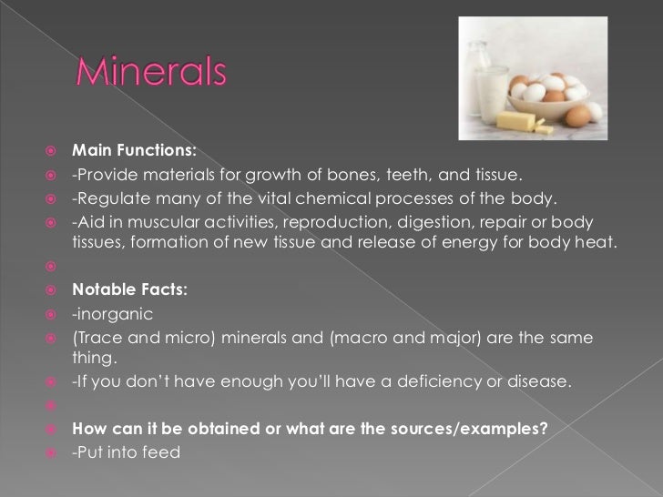 6 essential nutrients 6 major nutrients