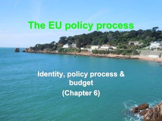 The EU policy process
Identity, policy process &
budget
(Chapter 6)
 