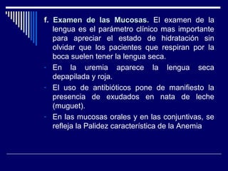 f. Examen de las Mucosas.Examen de las Mucosas. El examen de la
lengua es el parámetro clínico mas importante
para apreciar el estado de hidratación sin
olvidar que los pacientes que respiran por la
boca suelen tener la lengua seca.
- En la uremia aparece la lengua seca
depapilada y roja.
- El uso de antibióticos pone de manifiesto la
presencia de exudados en nata de leche
(muguet).
- En las mucosas orales y en las conjuntivas, se
refleja la Palidez característica de la Anemia
 