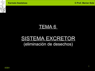TEMA 6  SISTEMA EXCRETOR (eliminación de desechos) 4DBH 