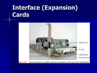 Interface (Expansion) 
Cards 
 