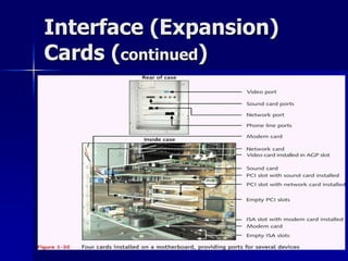 Interface (Expansion) 
Cards (continued) 
 