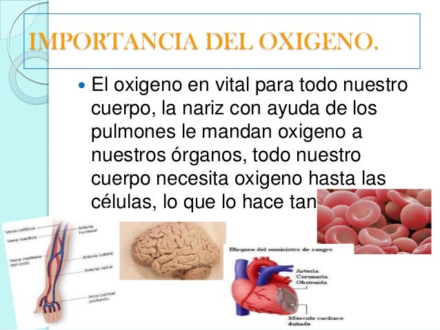 LA RESPIRACION