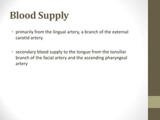 Blood Supply
• primarily from the lingual artery, a branch of the external
carotid artery.
• secondary blood supply to the tongue from the tonsillar
branch of the facial artery and the ascending pharyngeal
artery
 