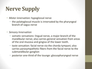 Nerve Supply
• Motor innervation: hypoglossal nerve
• the palatoglossal muscle is innervated by the pharyngeal
branch of vagus nerve
• Sensory Innervation
• somatic sensations: lingual nerve, a major branch of the
mandibular nerve; also carries general sensation from areas
of the oral mucosa and gingiva of the lower teeth.
• taste sensation: facial nerve via the chorda tympani; also
carries parasympathetic fibers from the facial nerve to the
submandibular ganglion
• posterior one-third of the tounge: glossopharyngeal nerve
 