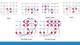 HNCACBCA(CO)NNHHNCO HN(CA)CO
13C-NOESY-HSQC15N-NOESY-HSQC
 