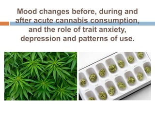 Mood changes before, during and
after acute cannabis consumption,
and the role of trait anxiety,
depression and patterns of use.
 