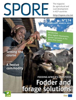 The magazine
for agricultural and
rural development
in ACP countries
http://spore.cta.int
N°174
february-march 2015
Sustainable
development goals
Setting the
course
LYCHEE
A festive
commodity
Feeding Africa’s livestock
Fodder and
forage solutions
interview
Afiavi Agboh-Noameshie,gender specialist at theAfrica Rice Center
 