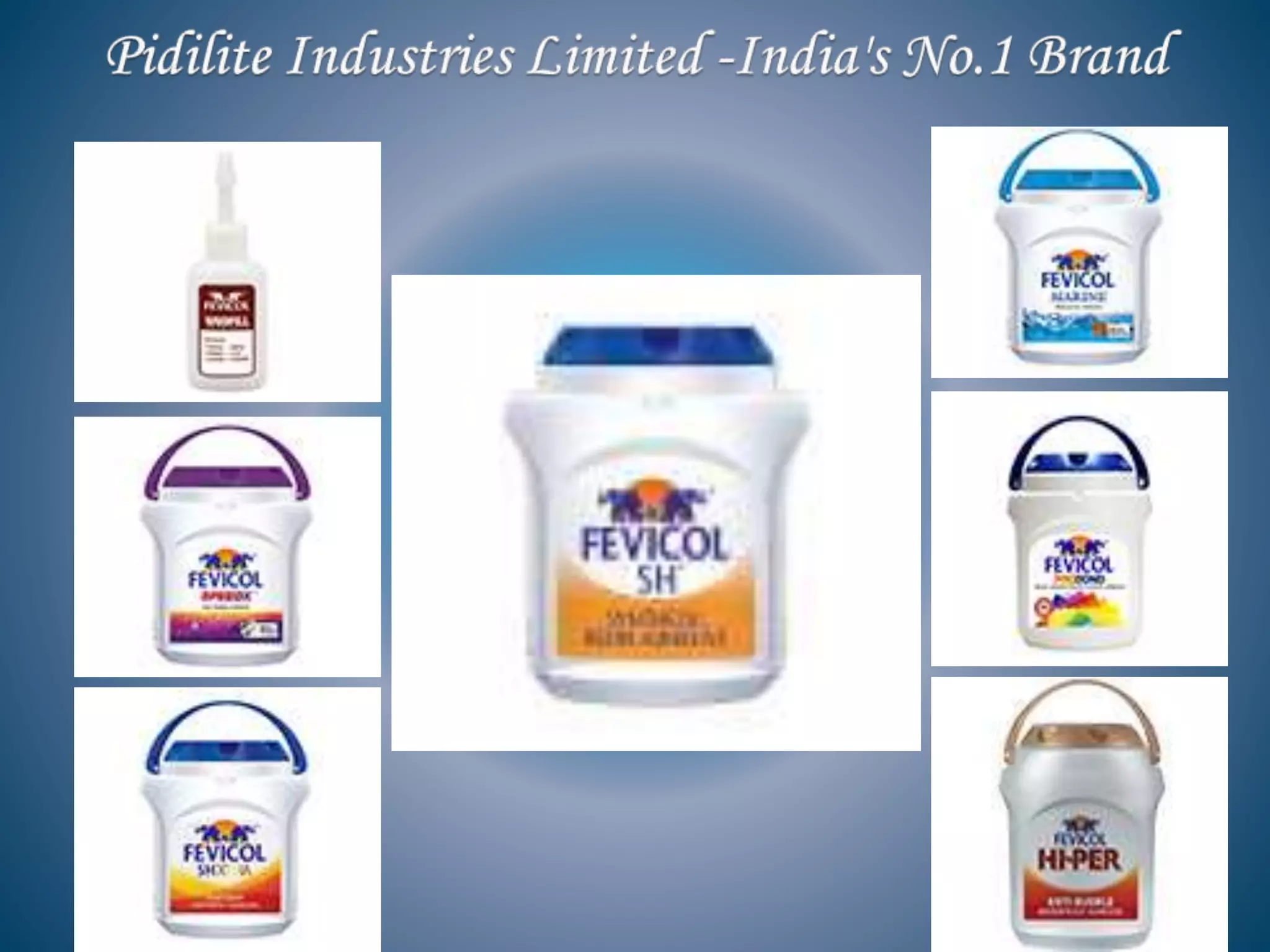 Pidilite Industries Limited India's No.1 Brand PPT