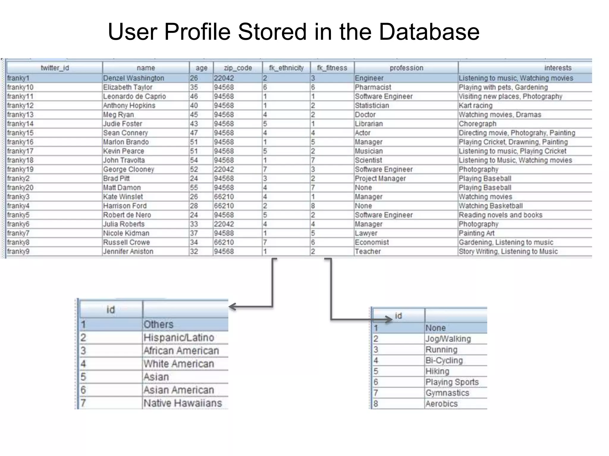 User Profile Stored in the Database
 