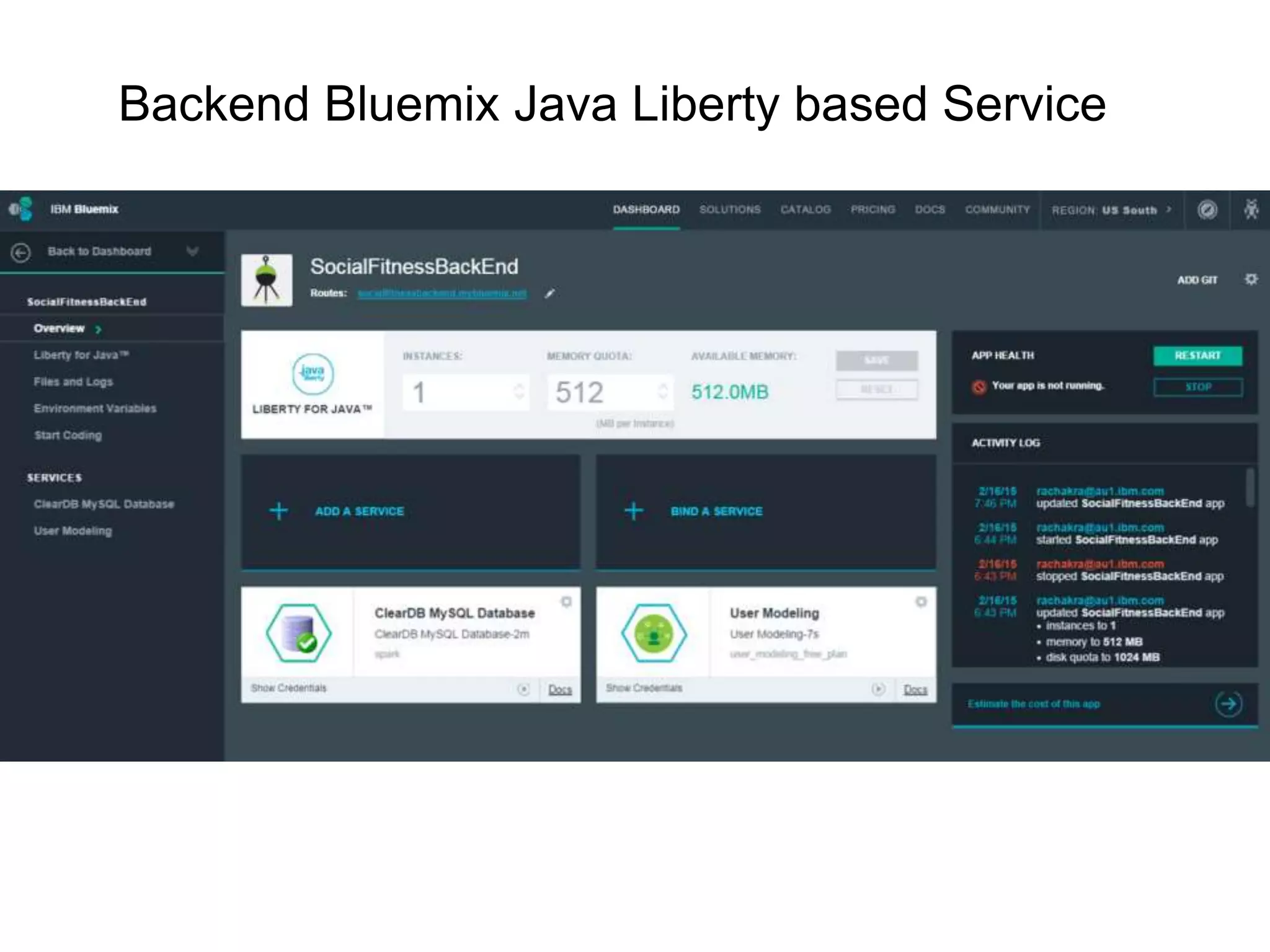 Backend Bluemix Java Liberty based Service
 