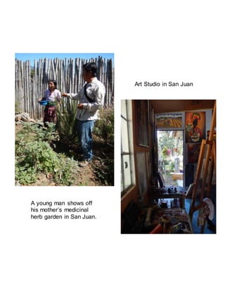 Art Studio in San Juan
A young man shows off
his mother’s medicinal
herb garden in San Juan.
 