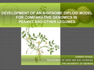 SAMEER KHANAL
DEPARTMENT OF CROP AND SOIL SCIENCES
THE UNIVERSITY OF GEORGIA
DEVELOPMENT OF AN A-GENOME DIPLOID MODEL
FOR COMPARATIVE GENOMICS IN
PEANUT AND OTHER LEGUMES
 