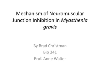 Mechanism of Neuromuscular
Junction Inhibition in Myasthenia
gravis
By Brad Christman
Bio 341
Prof. Anne Walter
 