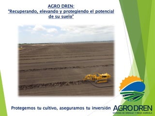 AGRO DREN:
“Recuperando, elevando y protegiendo el potencial
de su suelo”
Protegemos tu cultivo, aseguramos tu inversión
 