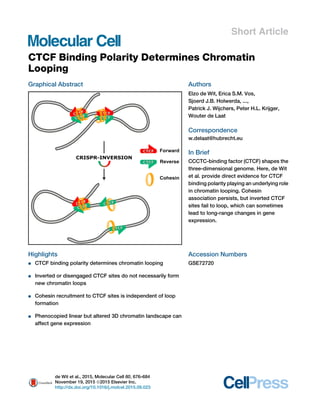 Short Article
CTCF Binding Polarity Determines Chromatin
Looping
Graphical Abstract
Highlights
d CTCF binding polarity determines chromatin looping
d Inverted or disengaged CTCF sites do not necessarily form
new chromatin loops
d Cohesin recruitment to CTCF sites is independent of loop
formation
d Phenocopied linear but altered 3D chromatin landscape can
affect gene expression
Authors
Elzo de Wit, Erica S.M. Vos,
Sjoerd J.B. Holwerda, ...,
Patrick J. Wijchers, Peter H.L. Krijger,
Wouter de Laat
Correspondence
w.delaat@hubrecht.eu
In Brief
CCCTC-binding factor (CTCF) shapes the
three-dimensional genome. Here, de Wit
et al. provide direct evidence for CTCF
binding polarity playing an underlying role
in chromatin looping. Cohesin
association persists, but inverted CTCF
sites fail to loop, which can sometimes
lead to long-range changes in gene
expression.
Accession Numbers
GSE72720
de Wit et al., 2015, Molecular Cell 60, 676–684
November 19, 2015 ª2015 Elsevier Inc.
http://dx.doi.org/10.1016/j.molcel.2015.09.023
 